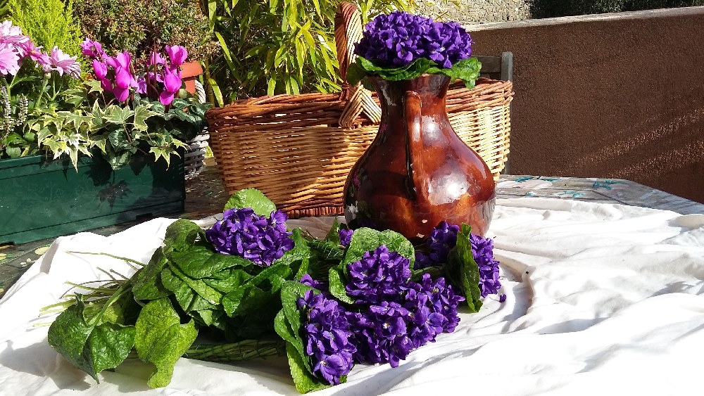 EARL La Violette - TOURRETTES-SUR-LOUP EARL La Violette - TOURRETTES-SUR-LOUP